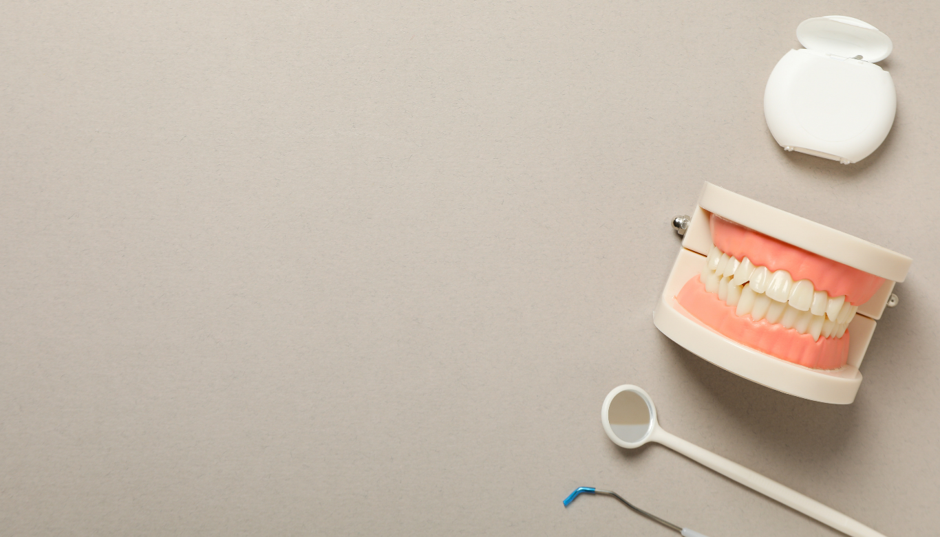 emergency-dentist-redland-bay Dental model showing upper and lower teeth with pink gums on a beige background, along with a dental mirror and tools